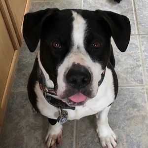 Meet your Posher, Natalie